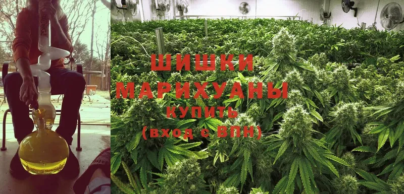 ссылка на мегу онион  Луга  Каннабис OG Kush 